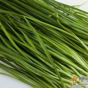 初春多吃韭菜好处多