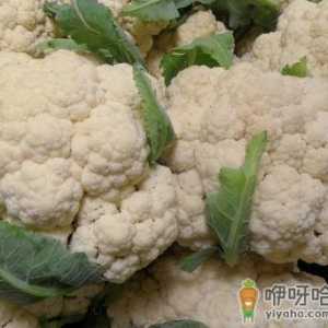 吃菜花好吗？菜花的营养价值-功效与作用