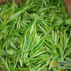 儿茶的功效与作用-儿茶的的药用价值