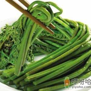 吃蕨菜有什么好处？蕨菜的营养价值、功效与作用