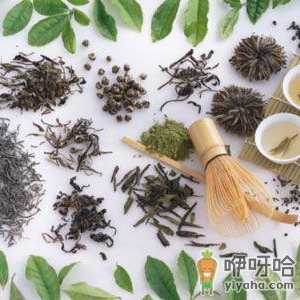 喝茶有哪些禁忌？什么人不适合喝茶