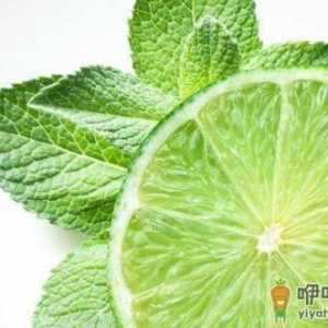 一点薄荷从舌尖清凉到脑子里 薄荷的功效与作用