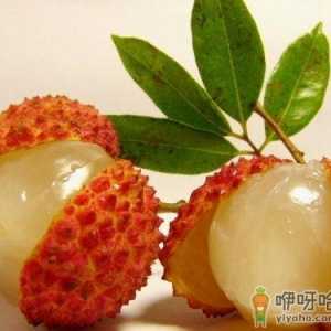 吃荔枝上火怎么办？怎样吃荔枝不上火？荔枝的功效与作用