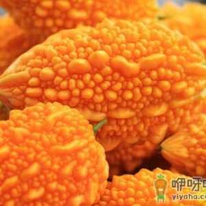 赖葡萄的营养价值-赖葡萄的功效与作用