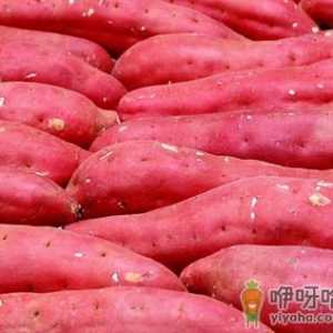 吃红薯有什么好处？红薯的营养价值
