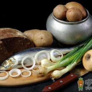 哪些鱼不能吃？鱼的饮食禁忌