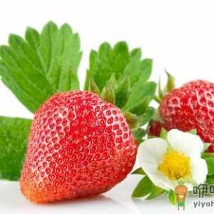 揭秘关于吃水果的5个雷区