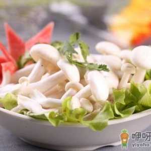 吃杏鲍菇的注意事项-吃杏鲍菇要放味精吗
