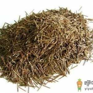 松针茶的制作方法 松针茶的功效