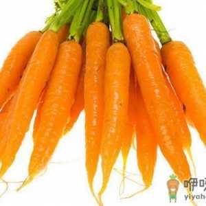 “菜蔬之王”胡萝卜有什么功效与作用？