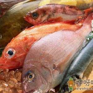 吃哪种鱼可补肝益气？各种鱼肉的保健功效