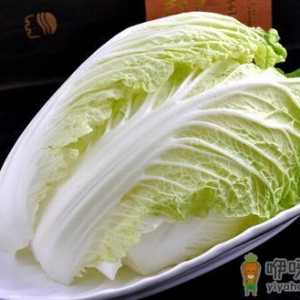 盘点大白菜和小白菜的不同功效