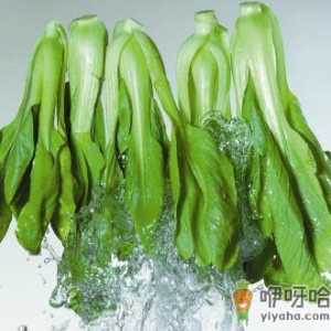 如何选购油菜？油菜的食用禁忌