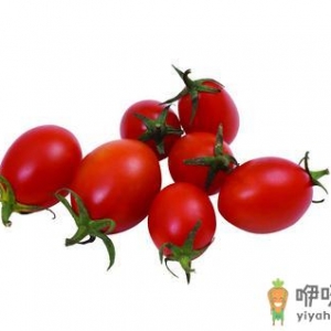 圣女果和大番茄哪个营养高？