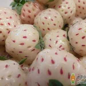 菠萝莓应该怎么吃？吃菠萝莓的注意事项