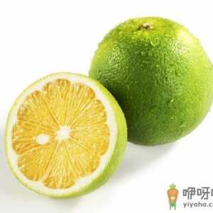胡柚的种植技术-胡柚的功效与作用