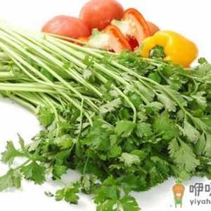 芹菜叶比芹菜茎还营养