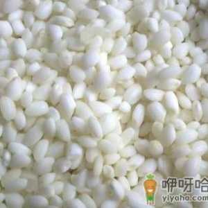 吃糯米有什么好处？糯米的功效与作用，糯米的做法大全