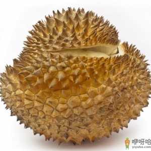 吃榴莲有什么好处？榴莲的功效与作用及营养价值