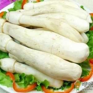 鸡腿菇的家常做法-鸡腿菇的功效与作用