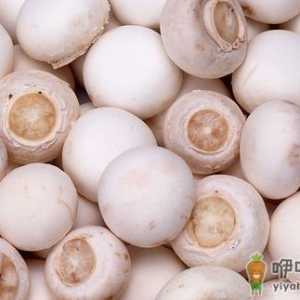 菌类的药用功效多 盘点十大菌类食物