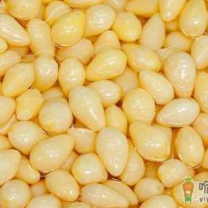 银杏果的功效与作用 吃银杏果不中毒的食用方法