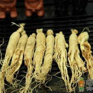 5种常见食物作用胜比人参