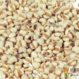 吃川贝有什么好处？