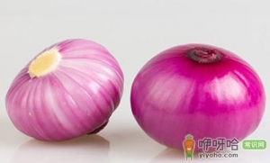 关于洋葱必知的小常识