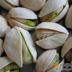 开心果的功效与作用-开心果的营养价值