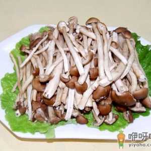 茶树菇的营养价值-茶树菇的适宜人群