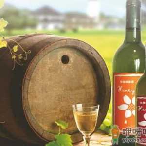 蜂蜜酒的功效与作用-蜂蜜酒的做法