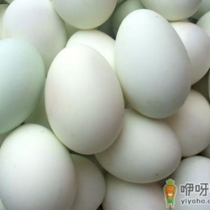 鸭蛋的营养价值-鸭蛋的功效与作用