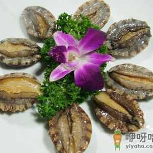 鲍鱼的营养价值-鲍鱼适合什么人吃