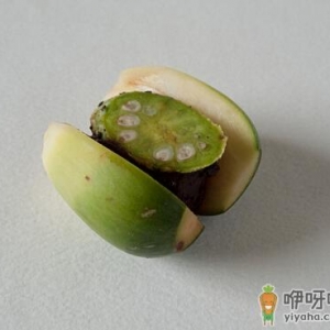 槟榔的好处-槟榔的功效与作用