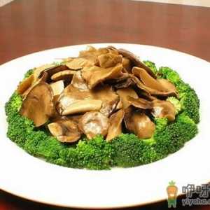 平菇的功效与作用-清蒸平菇助你加快代谢