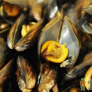 海虹被称海鸡蛋营养丰富味道鲜美 挑选海虹个体越大越好