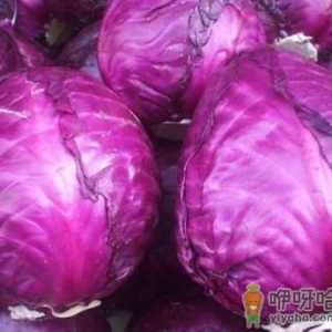 如何挑选紫甘蓝？紫甘蓝的食用禁忌