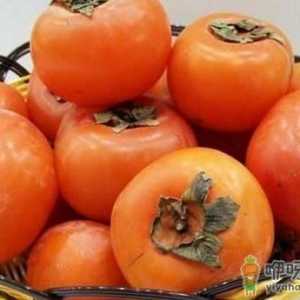 柿子的营养功效有哪些 食用要注意什么