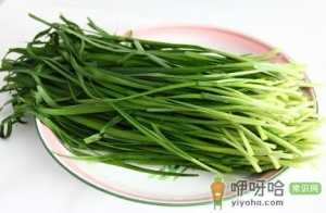春天吃韭菜的好处-吃韭菜有什么禁忌