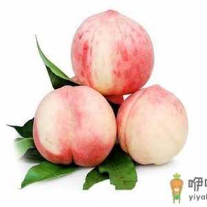 五指毛桃有哪些功效？