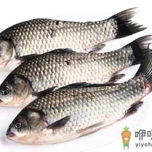 各种鱼的保健功效