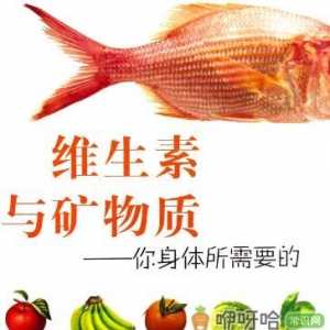 矿物质是什么_矿物质的作用_含矿物质的食物