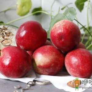 桃子是肺之果烂了一点是否能吃 桃子健康吃法与禁忌