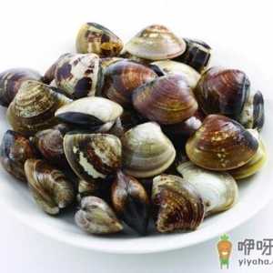 河蚌怎么洗？河蚌的营养价值及功效