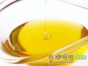 吃蜂王浆有什么好处？蜂王浆的作用与功效