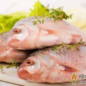 餐桌上常见的鱼肉都有哪些功效