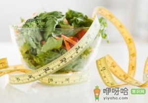 膳食纤维的作用_含膳食纤维丰富的食物