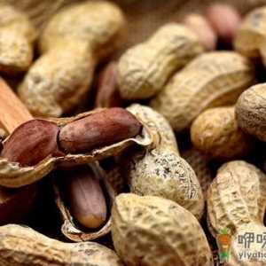 常吃花生能长寿 但5类人吃是火上浇油