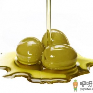 橄榄油有助于保护关节-橄榄油的功效